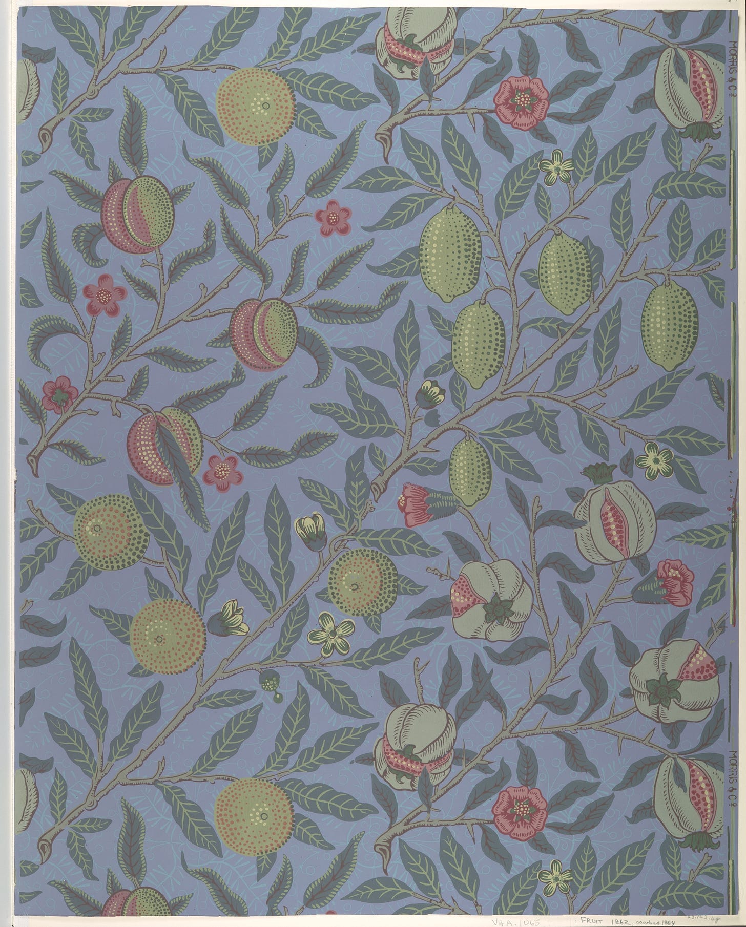 Fruit (or Pomegranate), William Morris (British, Walthamstow, London 1834–1896 Hammersmith, London), Block-printed in distemper colors Fruit (or Pomegranate), William Morris (British, Walthamstow, London 1834–1896 Hammersmith, London), Block-printed in distemper colors