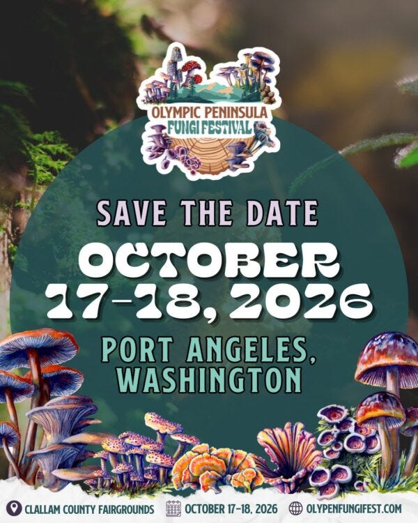 Olympic Peninsual Fungi Festival in Port Angeles, WA event graphic Olympic Peninsual Fungi Festival in Port Angeles, WA event graphic