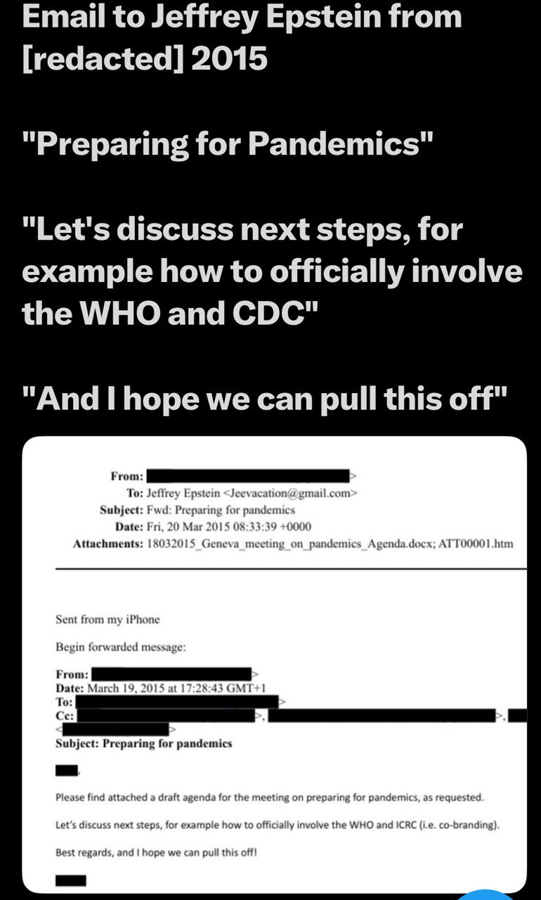 Email from [Name removed] to Jeffrey Epstein with the subject "Preparing for pandemics" and discussion of the next steps to involve the WHO and the CDC.