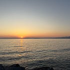 Viareggio | The cat at the end of the road