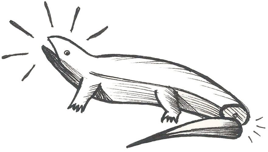 Scared lizard brain (it lost its tail!)