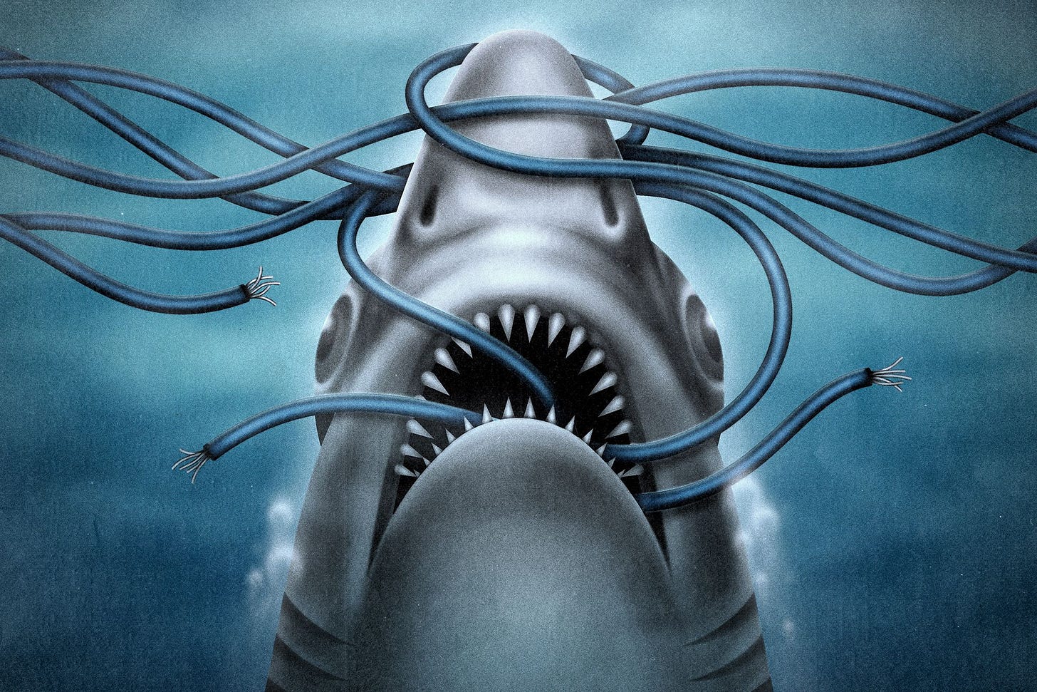 A shark tied up around underwater sea cables A shark tied up around underwater sea cables