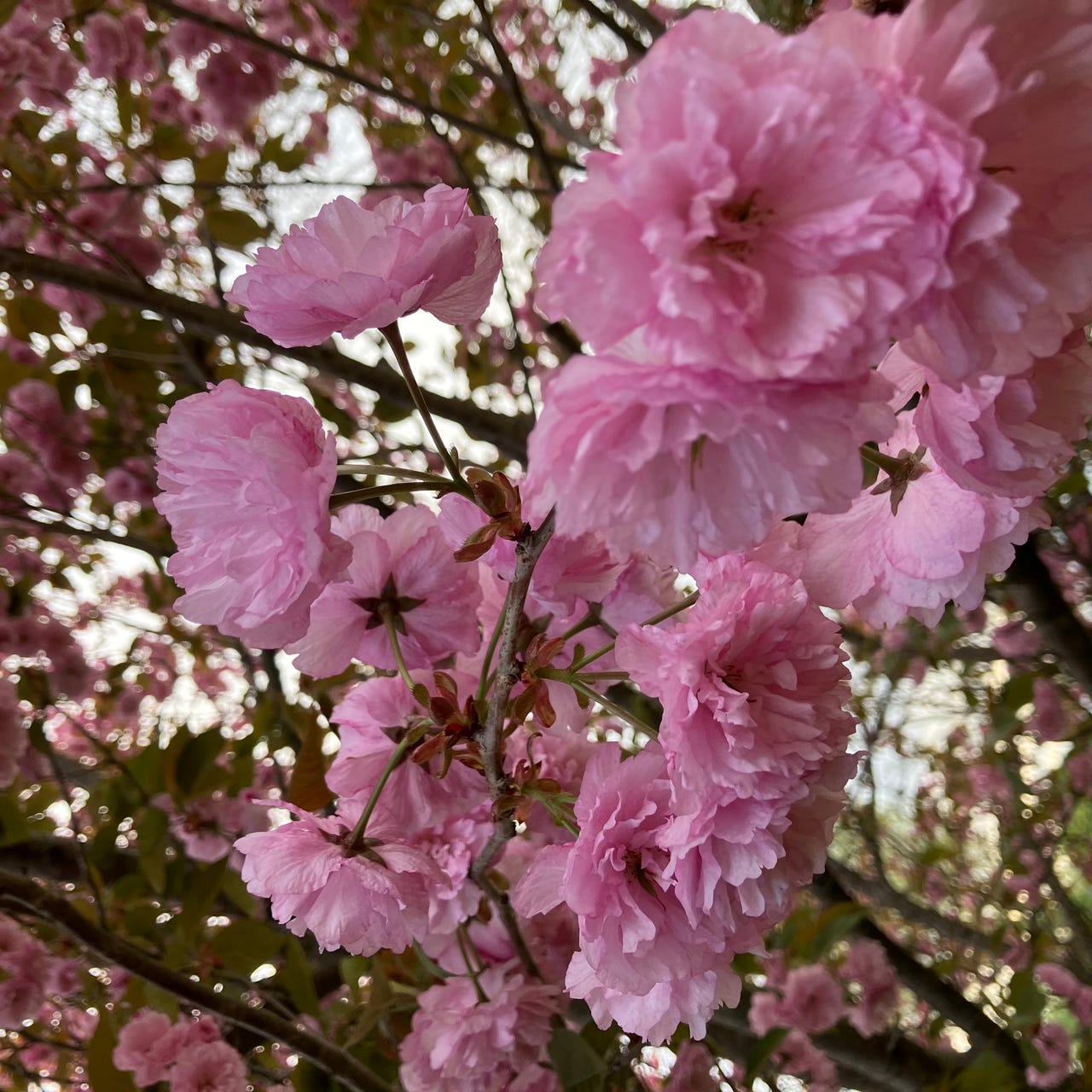 A Little Stronger Everyday