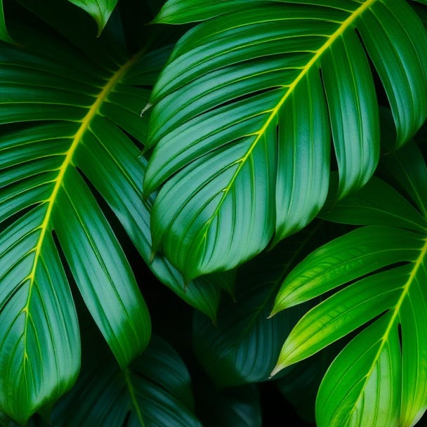 Modern Medicine meets Ancestral Wisdom with Dr. Erica Park