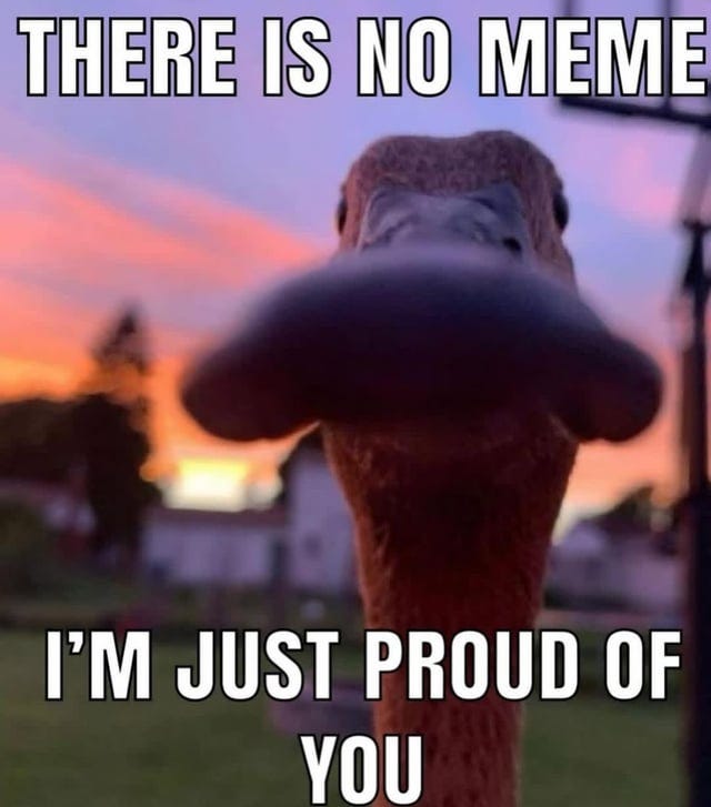 r/meme - Your daily blessing r/meme - Your daily blessing