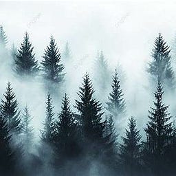 Psychological FDIA in Children: Fabricated Psychiatric and Developmental Illness