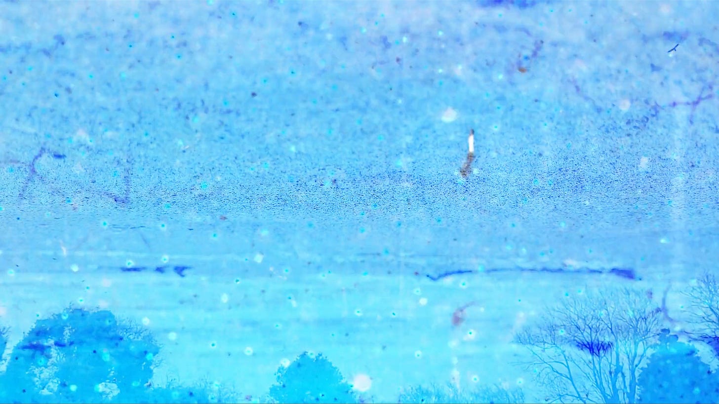 A composite image with shades of light blue over treetops along the bottom, beach and waves along the middle, and closeup of sand along the top, with a solo bird flying in the top right corner, and light blue specs and amoeba shapes scattered throughout. A composite image with shades of light blue over treetops along the bottom, beach and waves along the middle, and closeup of sand along the top, with a solo bird flying in the top right corner, and light blue specs and amoeba shapes scattered throughout.