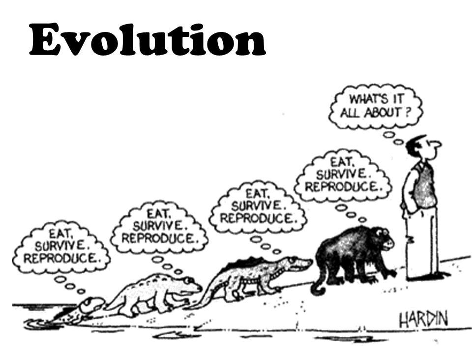 Evolution. - ppt download