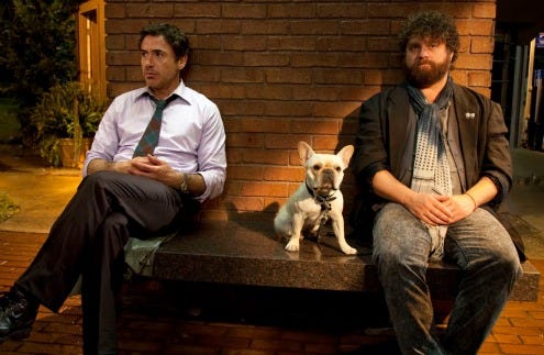 Due Date
