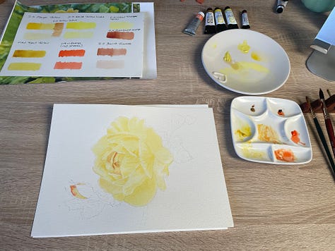 My practice rose