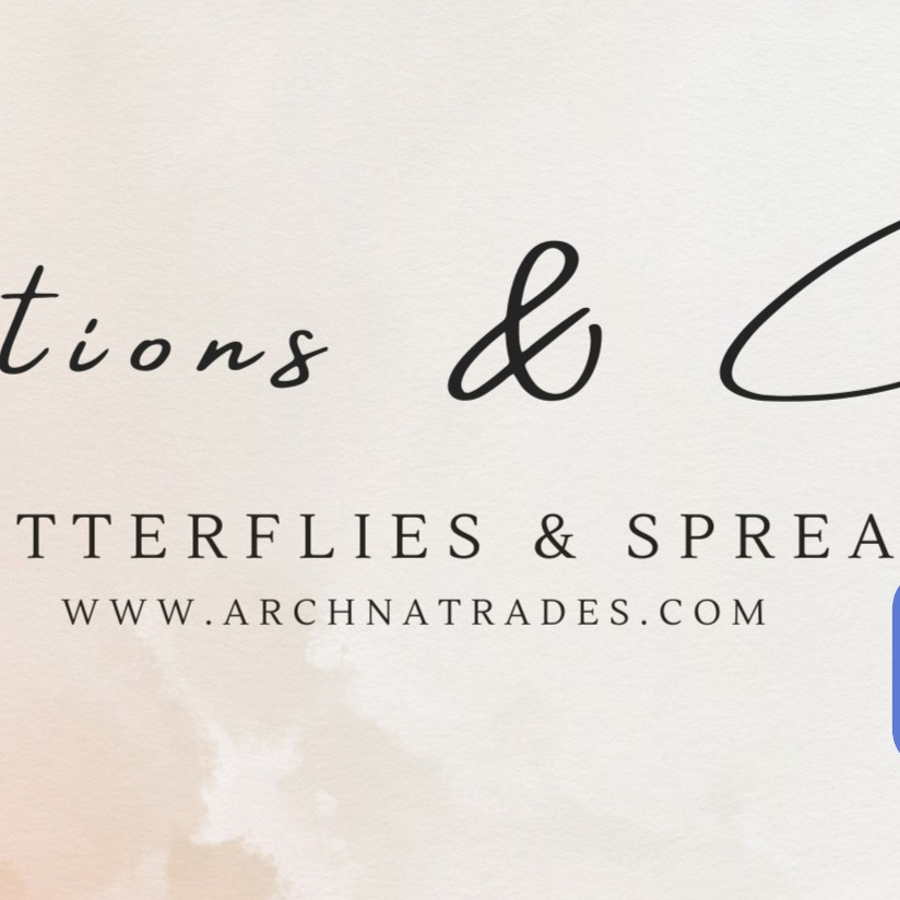 The Options Butterfly Letter