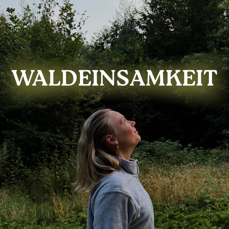 Waldeinsamkeit – Newsletter aus dem Waldhäuschen