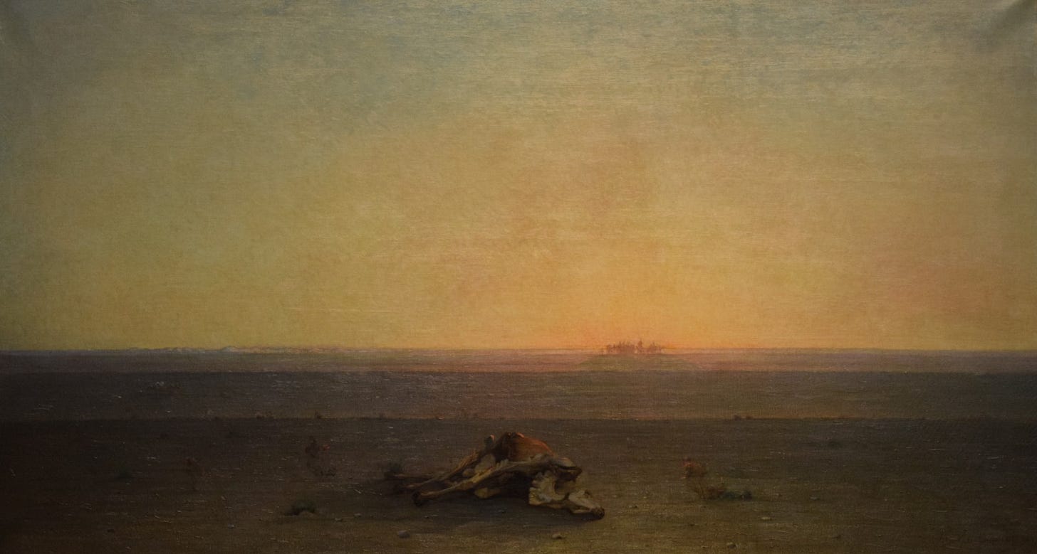 A camel skeleton on flat desert ground under a glowing sky, a tiny caravan on the horizon A camel skeleton on flat desert ground under a glowing sky, a tiny caravan on the horizon