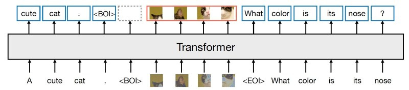 Meta Transfusion architecture