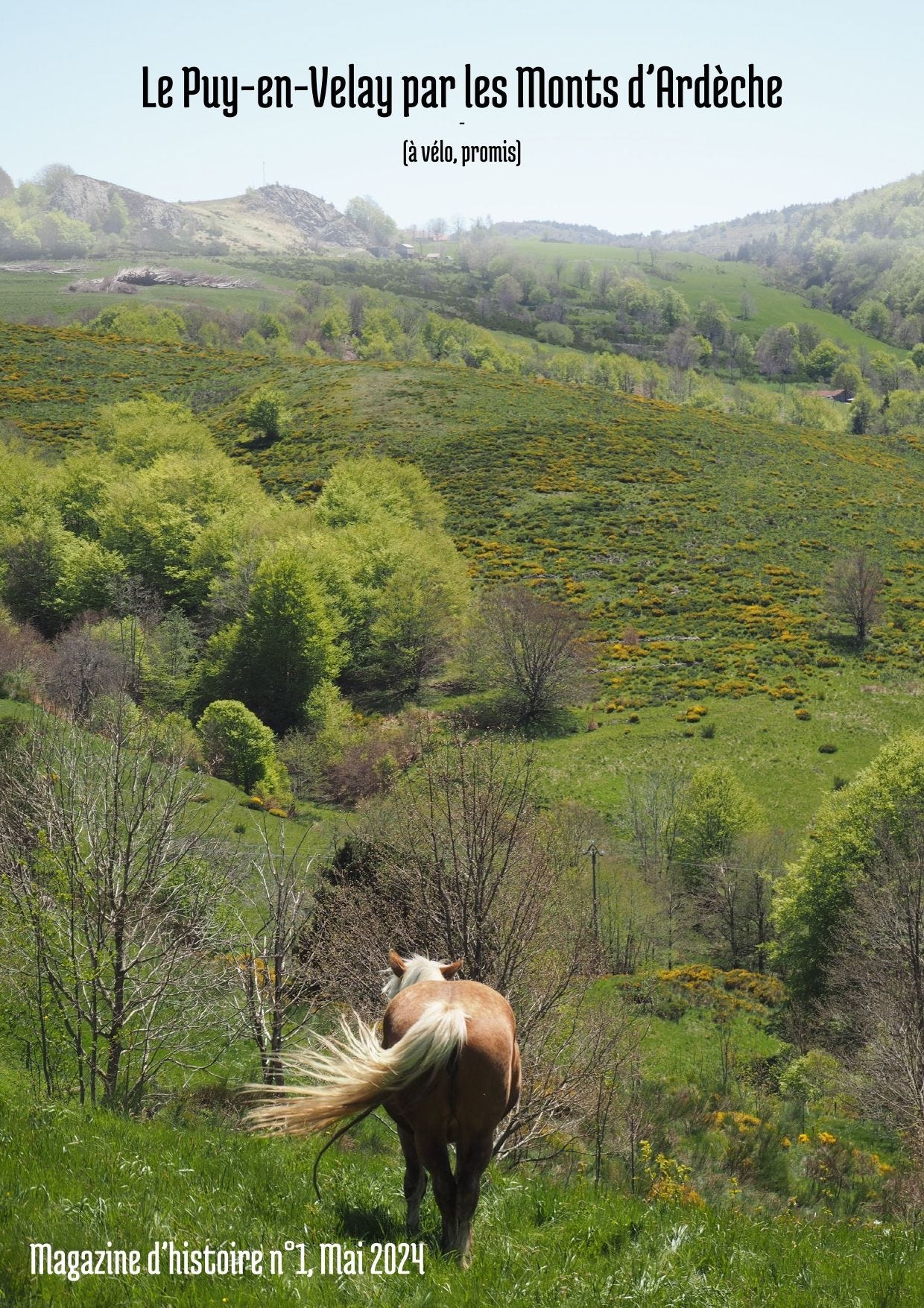Un cheval sur une colline
