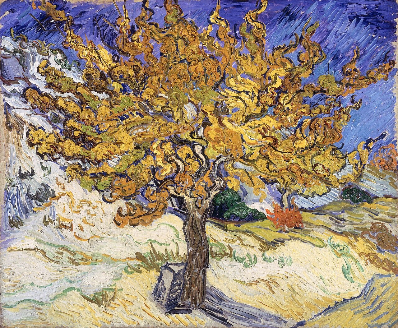 A single autumn mulberry tree blazes orange and yellow against blue rocks and sky A single autumn mulberry tree blazes orange and yellow against blue rocks and sky