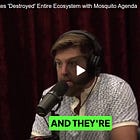 Biologist: Bill Gates' Mosquito Agenda 'Destroyed' an Entire Ecosystem