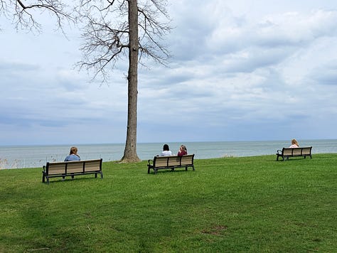 Rooted: pictures of women and scenery with trees on a lake 