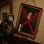 Rob Rabinowitz's avatar