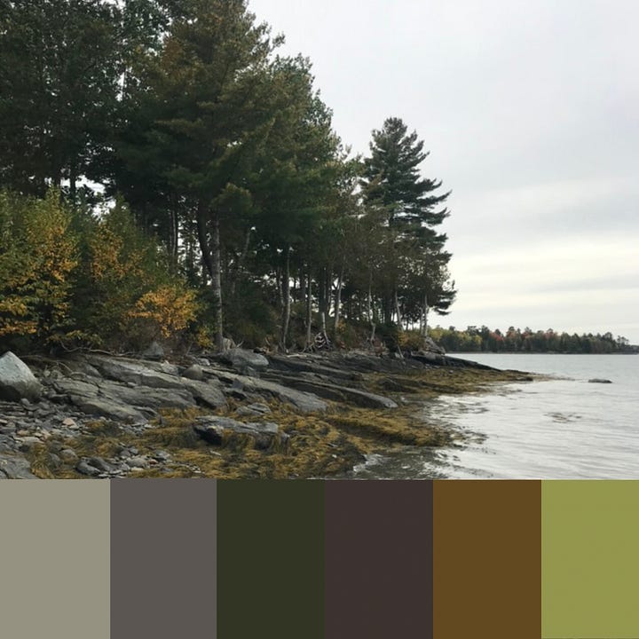 Photos of summer, autumn, winter and spring, overlayed by seasonal color palettes