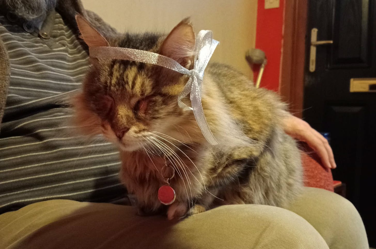 Milly sitting on my lap with a ribbon round her head like a 1920s flapper