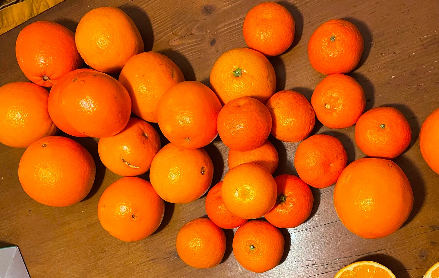 La mia prima, come dice E., "asportazione"