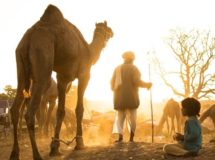 A person and a camel looking at a person

AI-generated content may be incorrect.