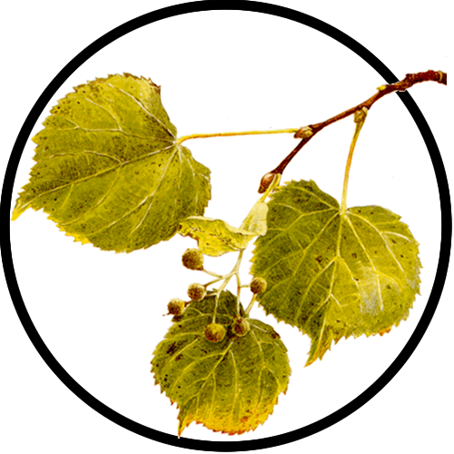 J. W. (Jeff) Kingsley’s Substack