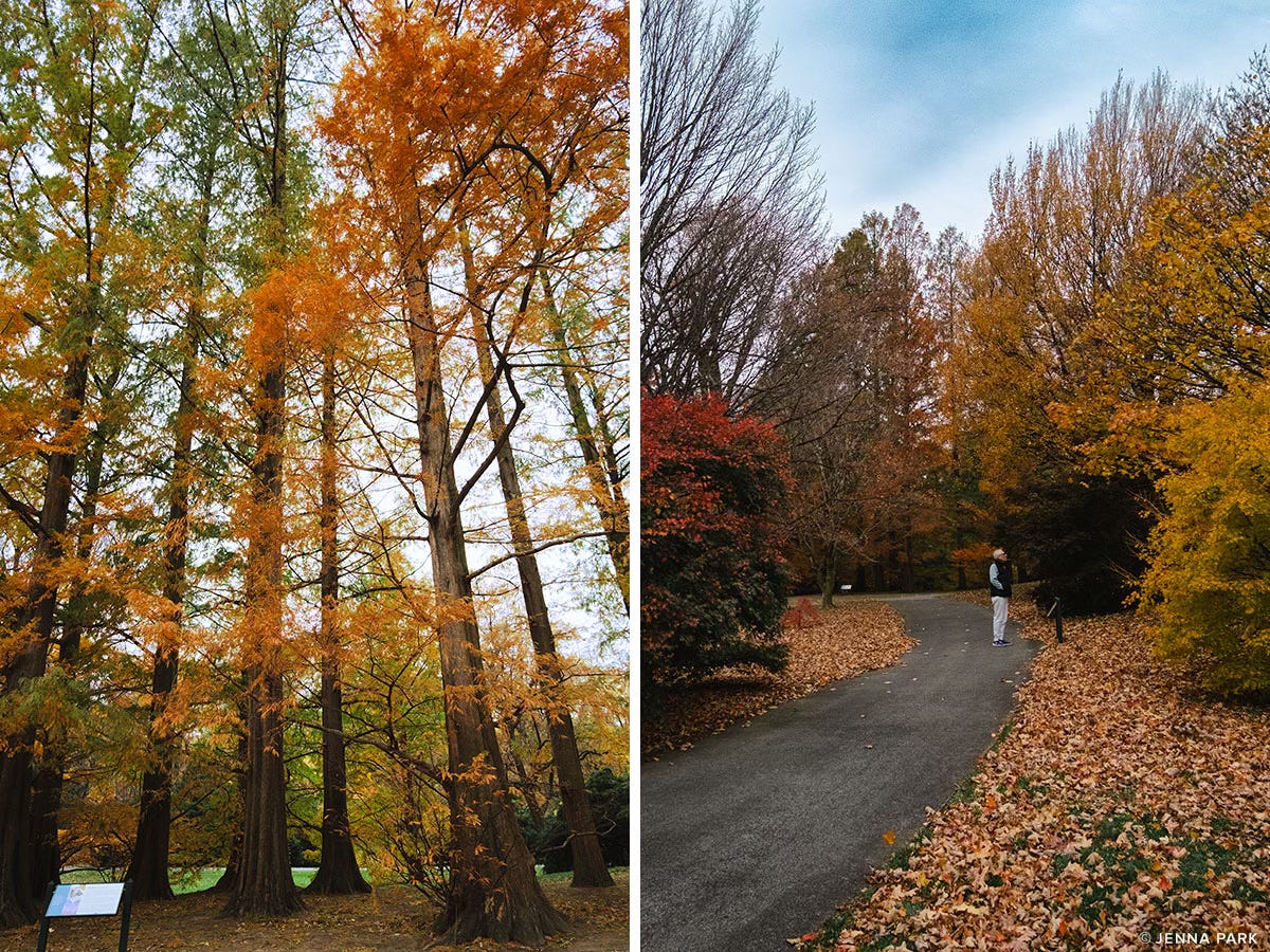 New York Botanic Gardens