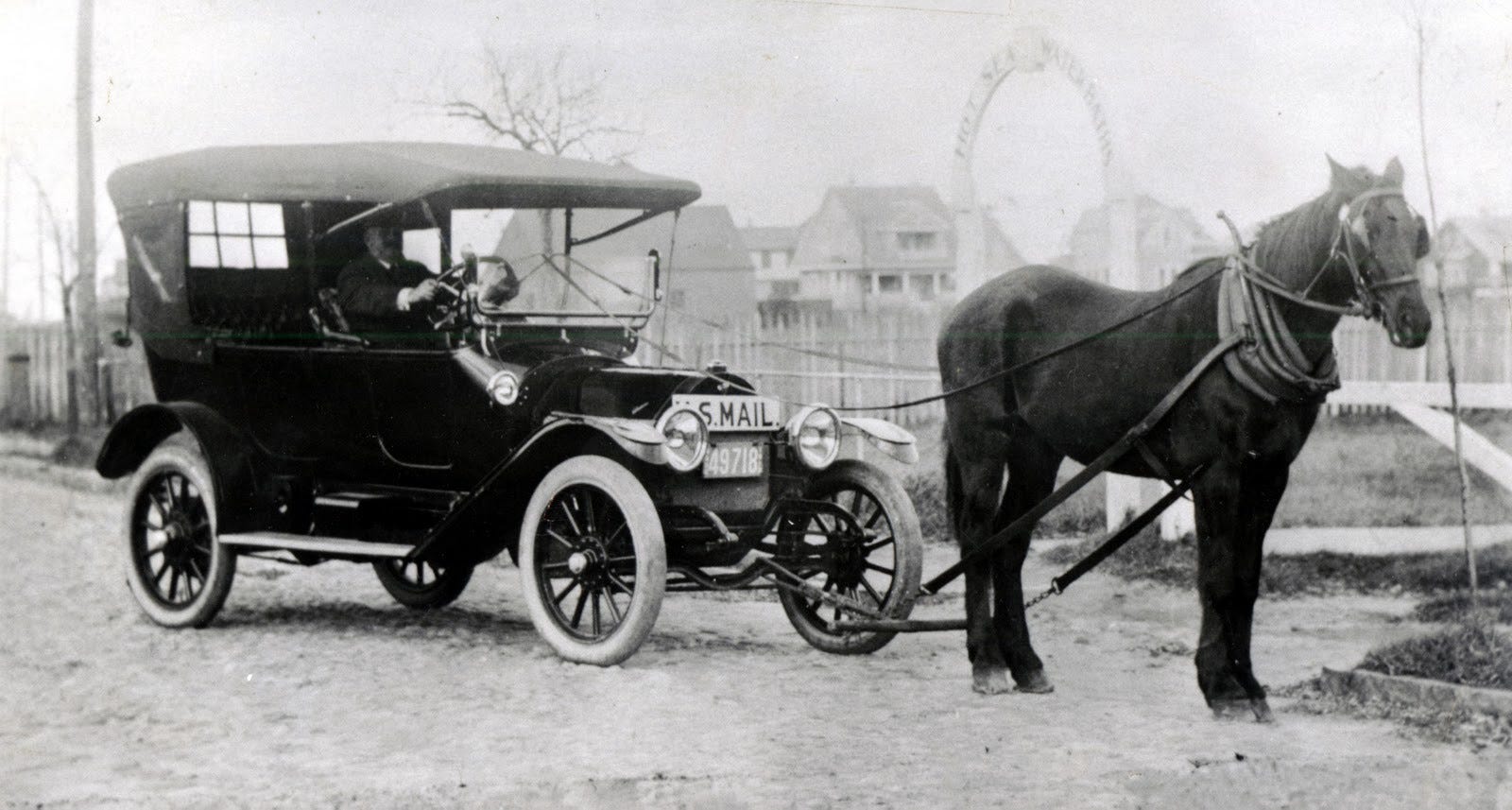 Fast horses