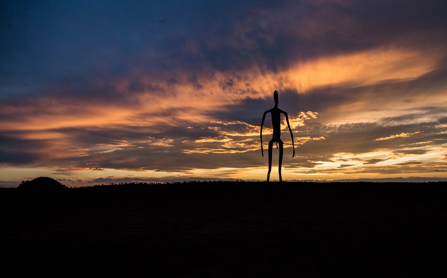 silhouetto of creature during golden hour silhouetto of creature during golden hour