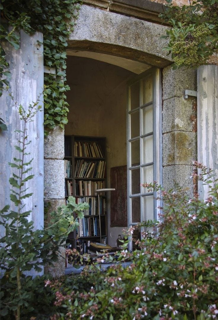 This may contain: an open window with bookshelves and plants growing out of it