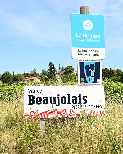 beaujolais gamay glou glou