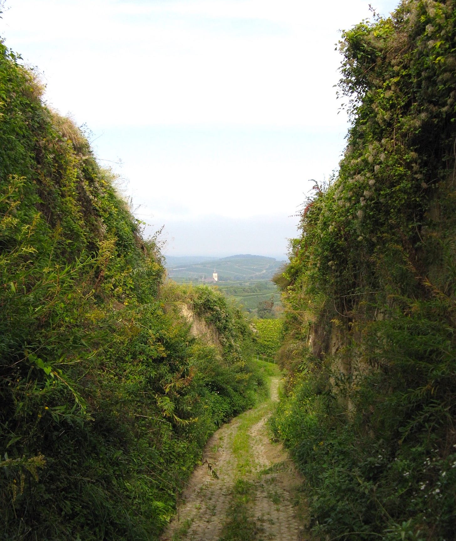 High banks covered in greenery frame path tha opens into wide view with village in middle distance
