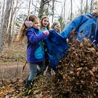 Friends of Acadia’s 2025 Take Pride in Acadia Day Volunteer Event Canceled Due to Government Shutdown