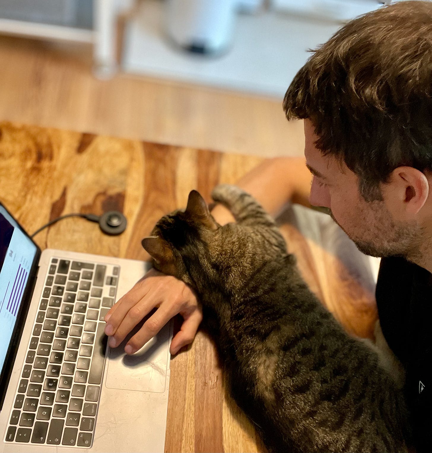 The author in front of his macbook with his cat Harry lying over his arm