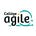 Avatar de Collège Agile