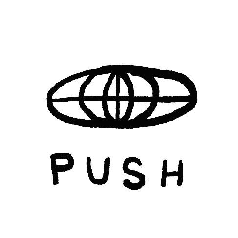 Substack profile picture for @push