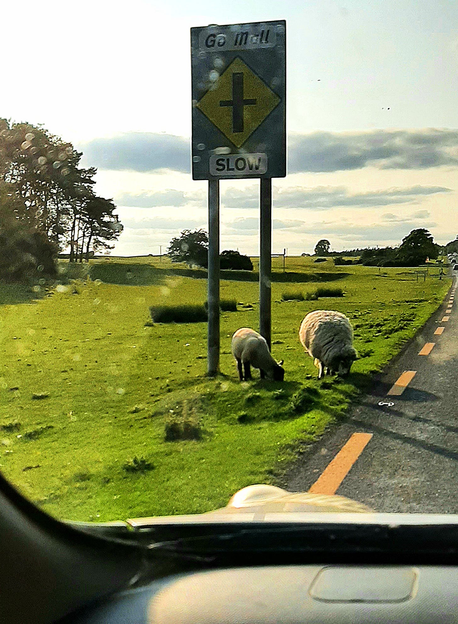 The Creatrix Experience - Ireland ©2025 Elizabeth des Roches