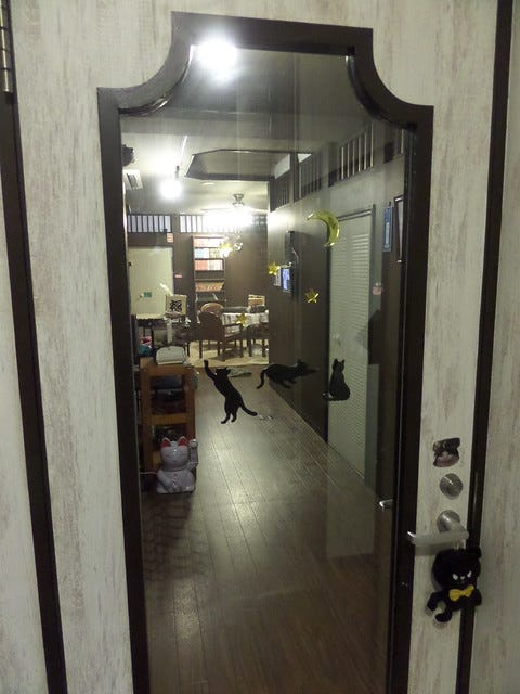 Cat Cafe Nanny Cat Cafe Nanny