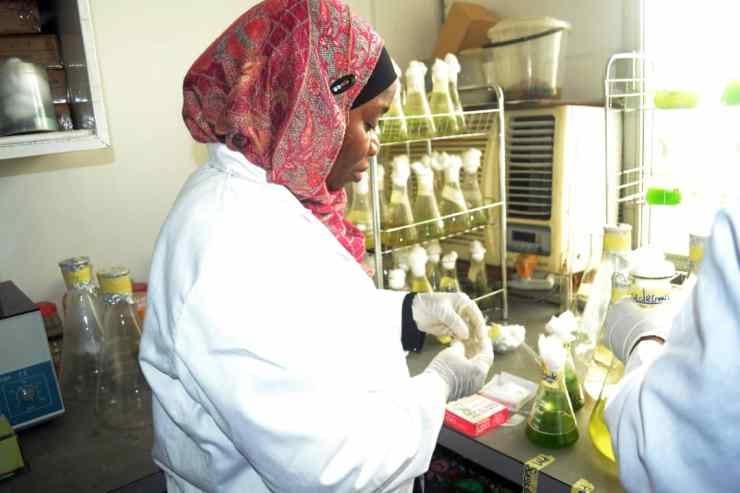 Dr. Adesalu Taofikat Abosede, a lecturer in the Department of Botany, University of Lagos