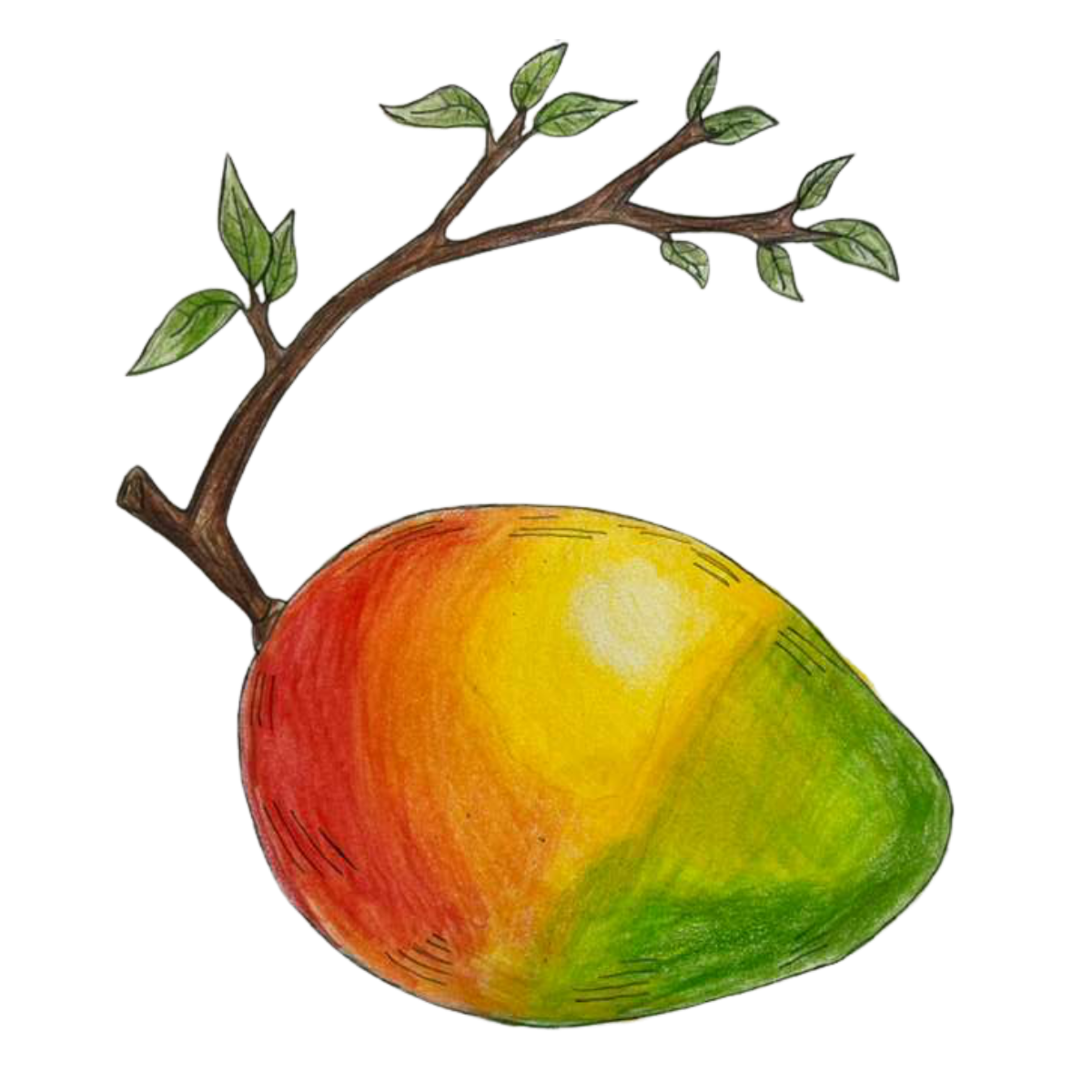 To Get to the Mango Tree