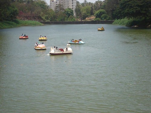 Peddle Boating Peddle Boating