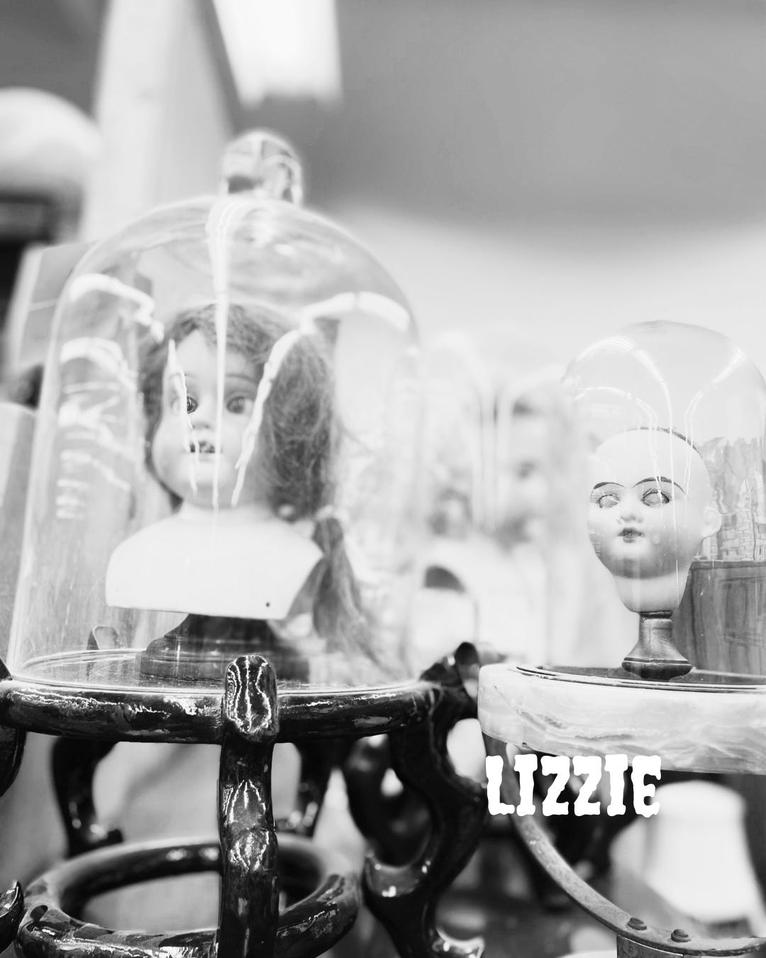 Lizzie - by Nancy Waddell - Nancy’s Substack