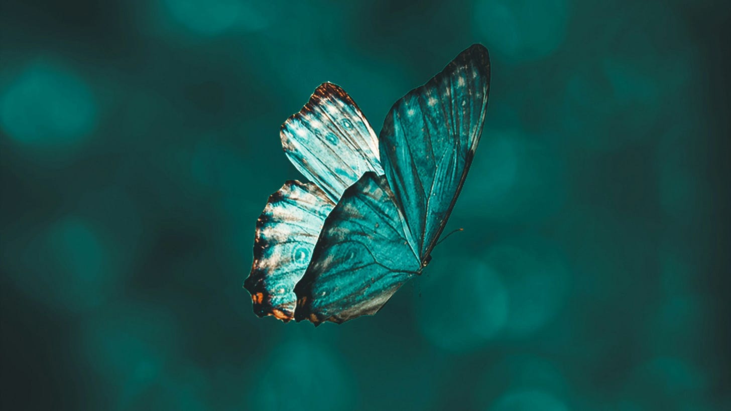 Butterfly as a metaphor for agency repositioning