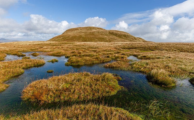 What the Bog Bodies of Europe Tell Us About Ancient Cultures | Discover  Magazine
