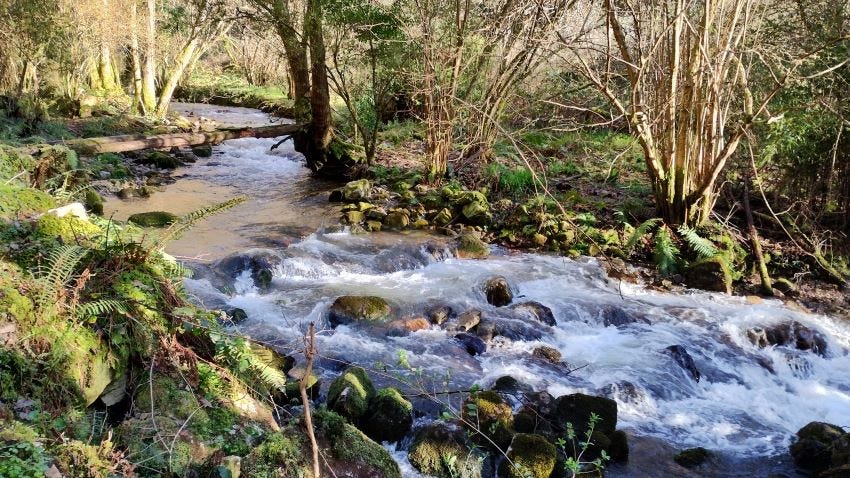 Río Nonanya, Asturias