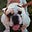 BullieMom's avatar