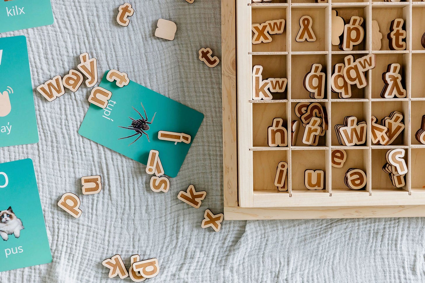 Custom Living Language Alphabet for Classrooms | Indigenous Language  Learning System – Juniper Tree Learning