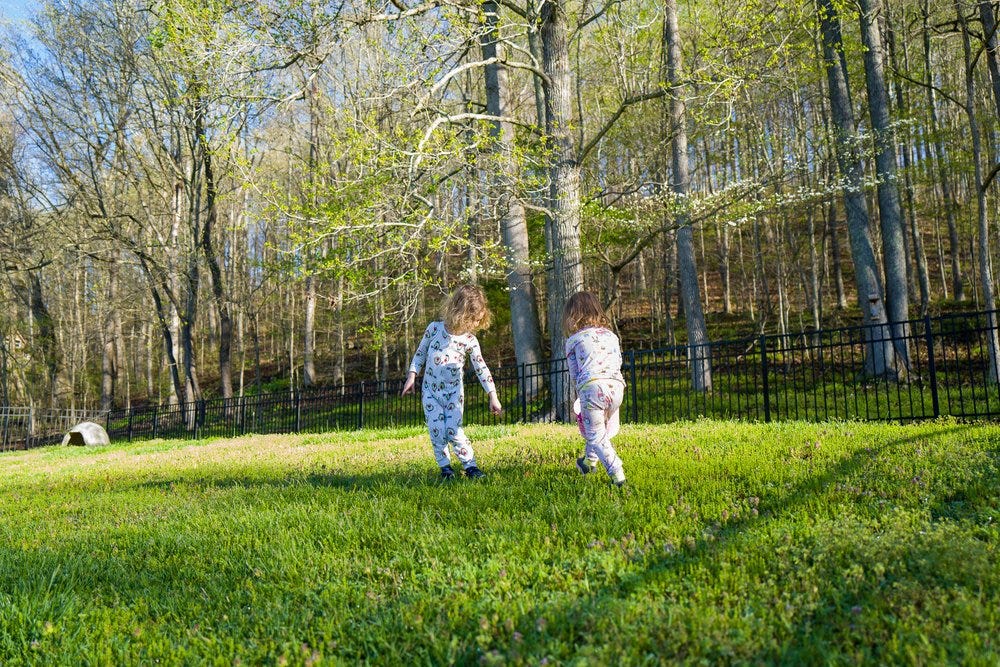 L1002856.jpg L1002856.jpg